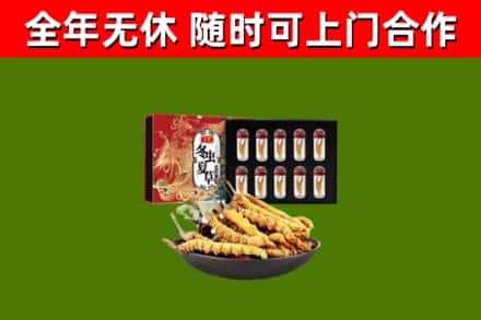 于田县回收冬虫夏草价格